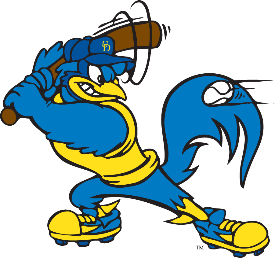 Delaware Blue Hens 1999-2009 Mascot Logo v6 t shirts iron on transfers